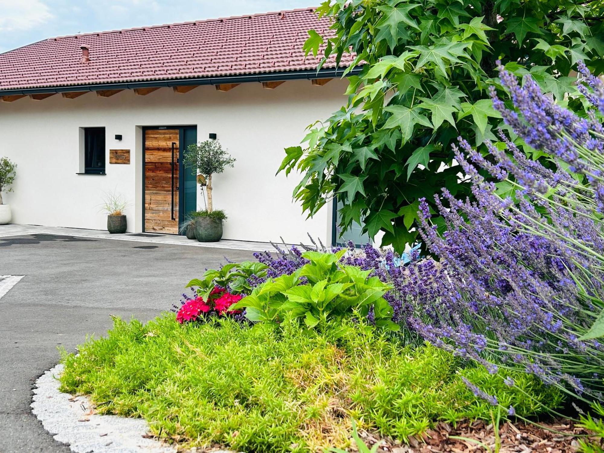הוילה Sankt Stefan ob Stainz Traumhaus In Den Weinbergen - Max 8 Personen - Mit Self-Check-In מראה חיצוני תמונה